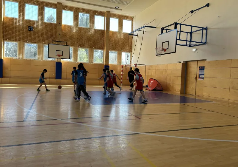 Školní basketbalová liga