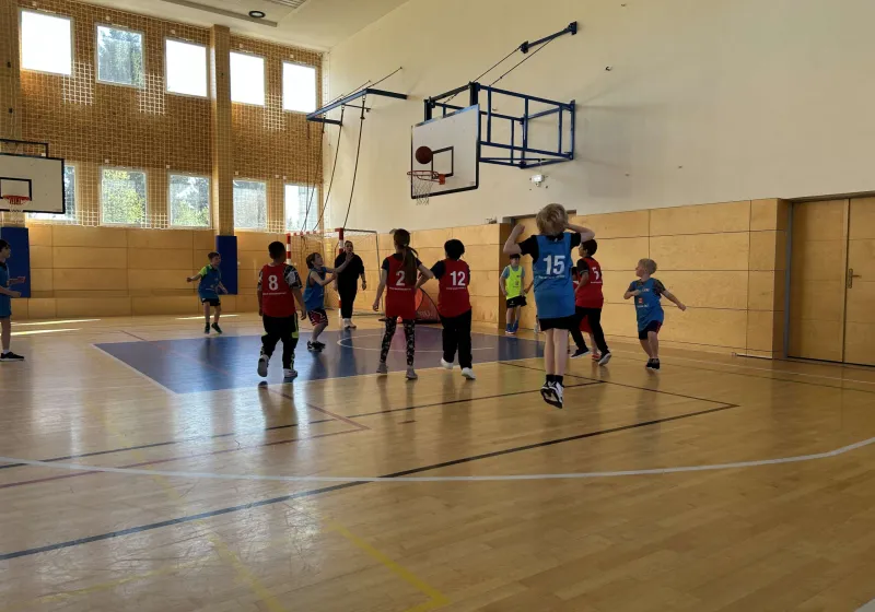 Školní basketbalová liga