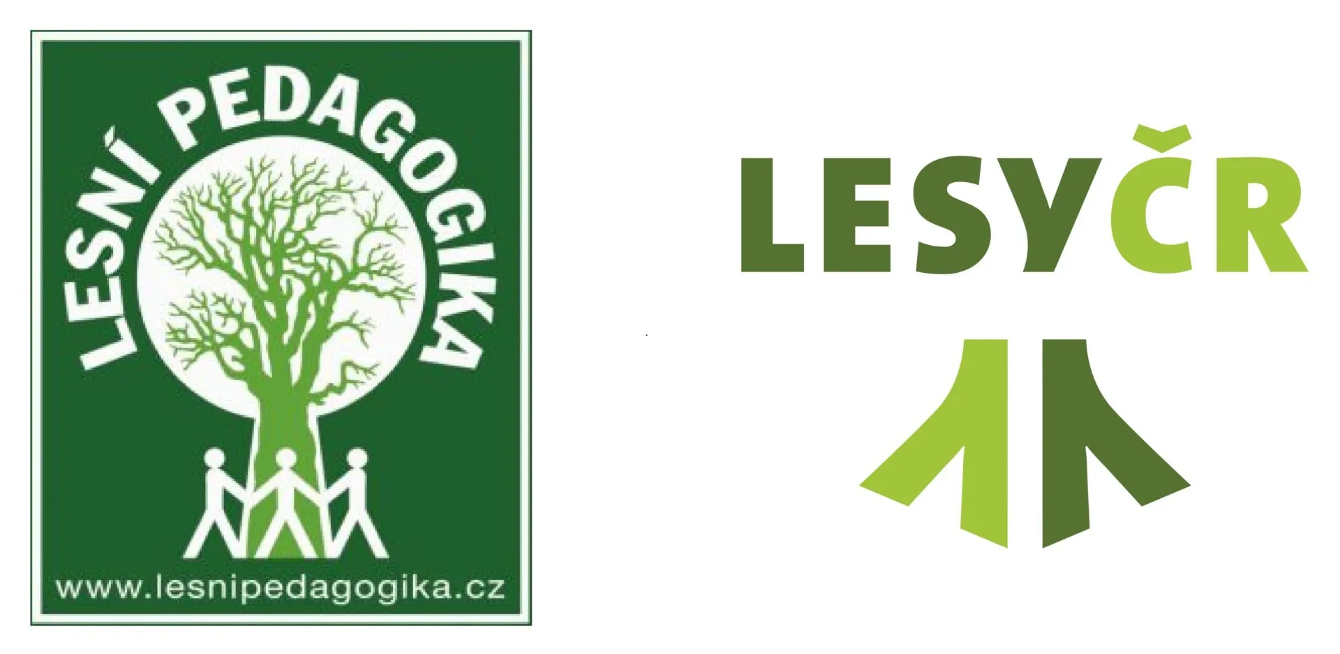 lesy-projekt